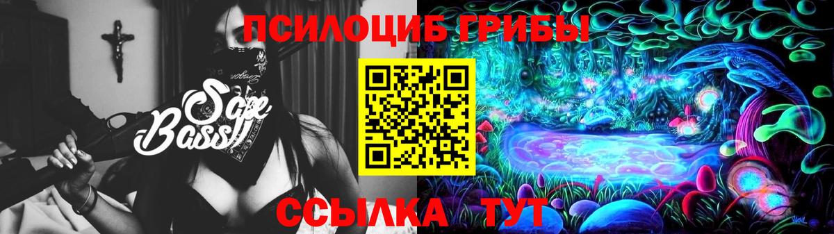 Псилоцибиновые грибы Psilocybine cubensis Бахчисарай